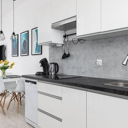 Bursztynowa Przystan Апартаменты *